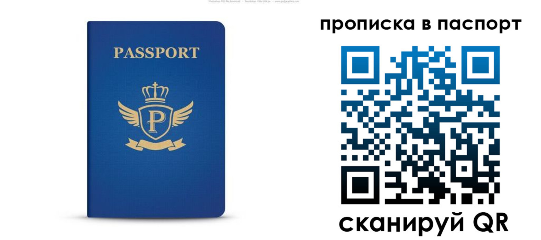 прописка 2025 в Покрове